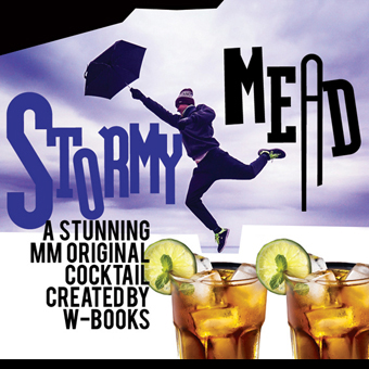 Stormymead WEB2